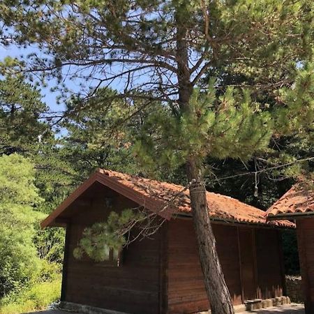 The Old Man'S Chalet Villa Dukat Exterior photo